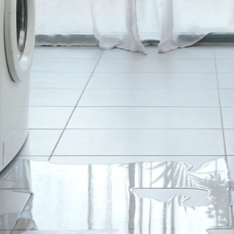 Appliance Leak Cleanup in Sycamore, IL