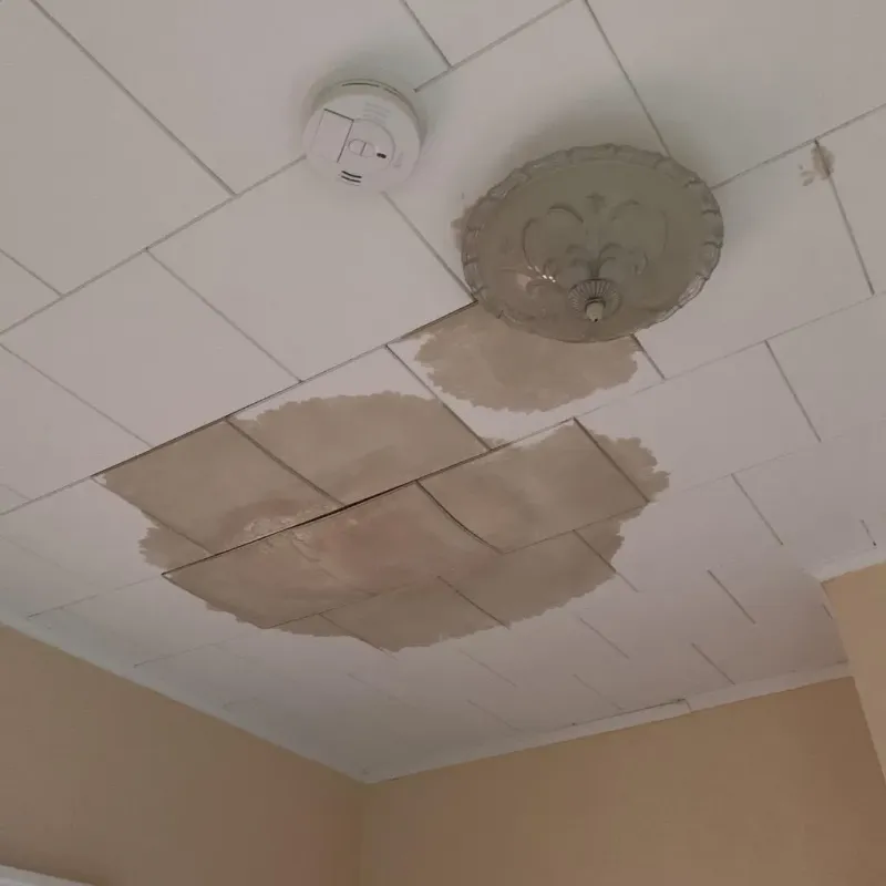 Ceiling Water Damage Repair in Sycamore, IL