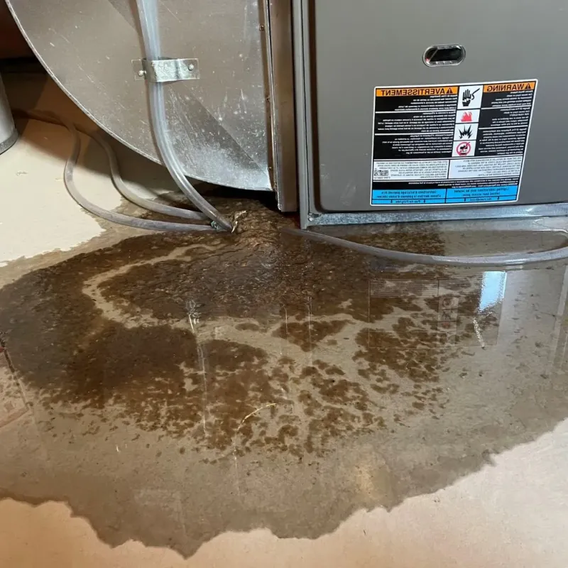 Pipe Burst and Leak Restoration in Sycamore, IL